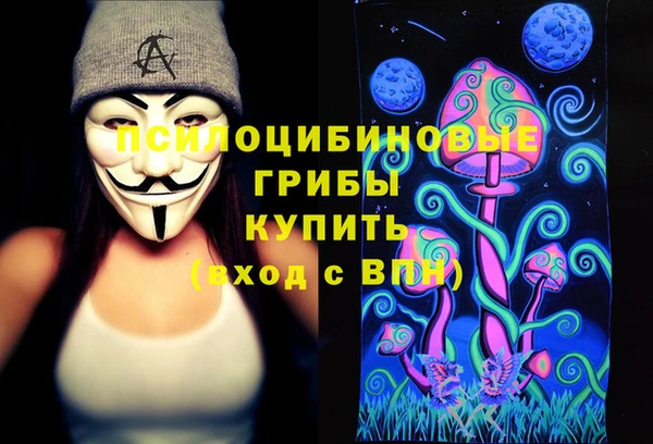 спиды Алексин