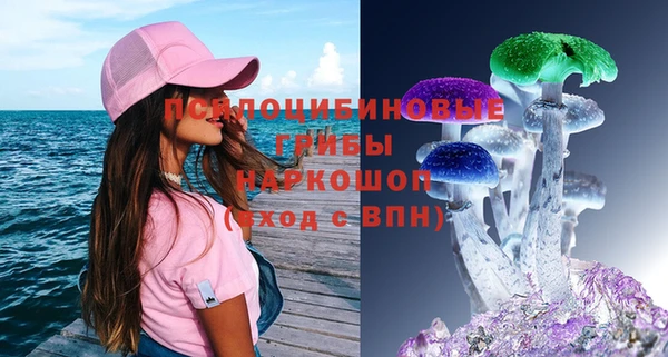 спиды Алексин