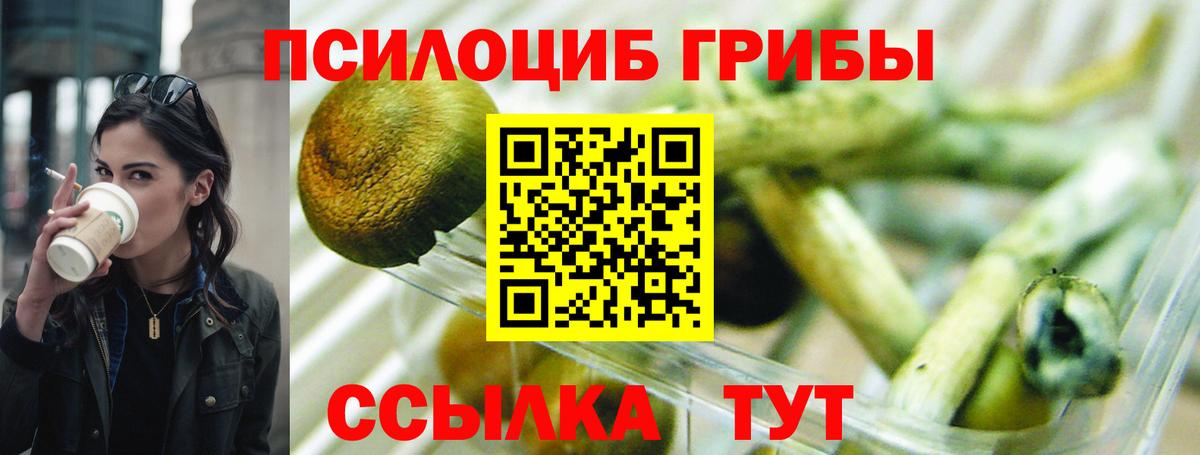 Галлюциногенные грибы мицелий  Вход с VPN  Михайловск 
