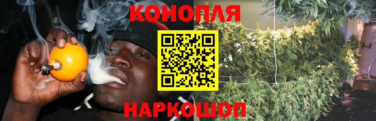 Шишки марихуана Ganja  Бошки Шишки Amnesia  Каннабис план  Михайловск  Каннабис сатива  Вход с VPN 